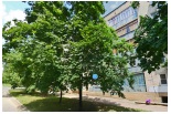 Информация для жителей МКД №12 по ул. Добролюбова Информация для жителей МКД №12 по ул. Добролюбова
